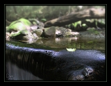 ADG riviere3